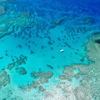 ABC Snorkel Charters Port Douglas Snorkelling max 12 passengers 9