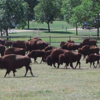 Mount Rushmore and Black Hills Tour with Two Meals and a Music Variety Show 2