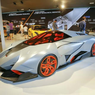 Museo Lamborghini e Museo Enzo Ferrari: Biglietto d'ingresso 13