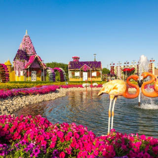 Dubai Miracle Garden 3