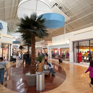 Sawgrass Mills Mall - Transporte - Ida y vuelta 8