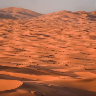 3 Days From Fes to Marrakech Via Sahara Desert and Ait Ben Haddou 6