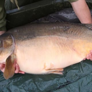  Go Fishing in London 3