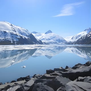 Wildlife and Glaciers with a walk in the Rainforest 6