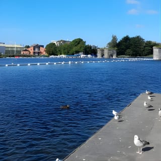 Small-Group Morning Walking Tour of Galway 16