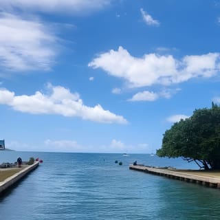 Full Day West Coast Adventure in Puerto Rico 14