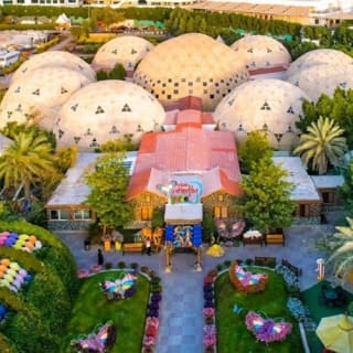 Dubai Butterfly Garden: biglietto d'ingresso 6