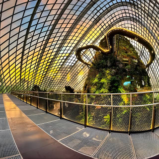 Flower Dome & Supertree Observatory 9
