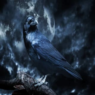 Edgar Allan Poe Speakeasy at the Cemetery - Orange County, CA 5