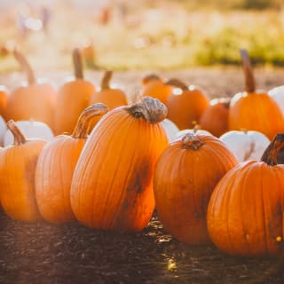 Prepárate para Halloween 9 1