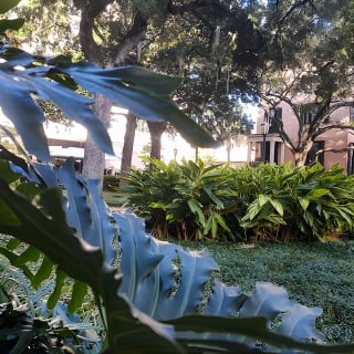 Botanical Tour (by Walk With Me Savannah Tours) 10
