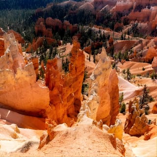 Bryce Canyon und Zion Nationalpark Tagesausflug von Las Vegas 4