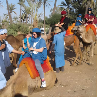 Camel ride at sunset in Marrakech palm grove 6