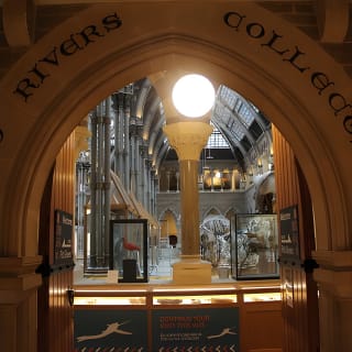Curiosity & Colonialism - Museum Tour by Uncomfortable Oxford™ 5