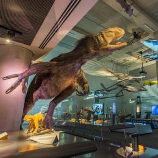 Phillip & Patricia Frost Museum of Science, Acquario & Planetario: biglietto d'ingresso 31