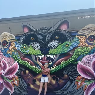 Mountain Mural Tour-River Arts and Downtown Asheville 2