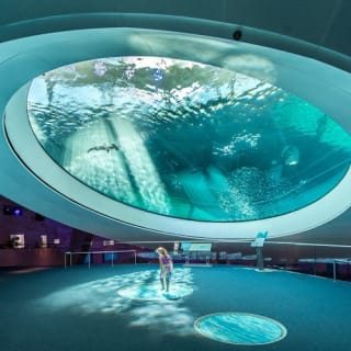 Phillip & Patricia Frost Museum of Science, Acquario & Planetario: biglietto d'ingresso 34