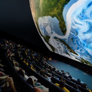 Phillip & Patricia Frost Museum of Science, Acquario & Planetario: biglietto d'ingresso 35