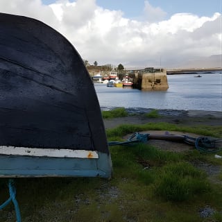 From Galway: Guided tour of Connemara with 3 hour stop at Connemara National Pk. 6