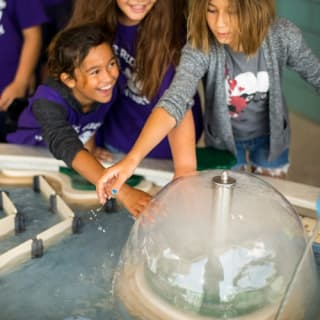 Phillip & Patricia Frost Museum of Science, Acquario & Planetario: biglietto d'ingresso 37