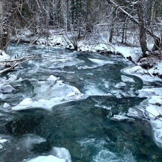 Winter Waterfall Walk 4