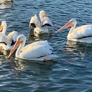 Tramonto al Mito del Mare 39