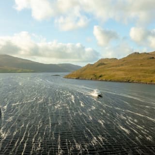 Connemara & Galway: Tour di un giorno da Dublino + Crociera 2