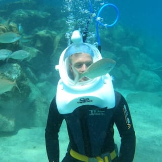 Tenerife: Experiencia guiada de senderismo submarino 8