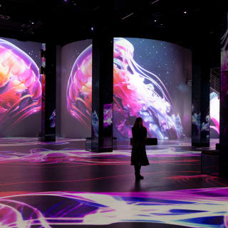 Port des Lumièrs Kombi-Ticket: Wunderwelt Ozean & Monet 4