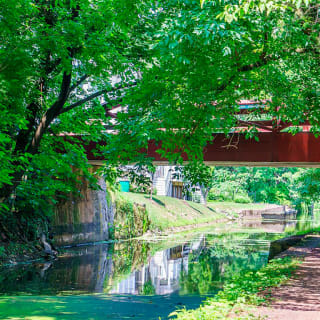 New Hope Mystery Picnic: Self-Guided Foodie Adventure 1