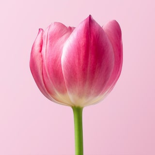 ¡Por fin primavera! 6 1