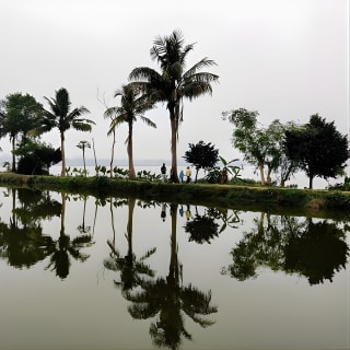 Walk the Kolkata Wetlands: Green Eye Candy 5