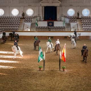Real escuela andaluza del arte ecuestre: Visita completa 2