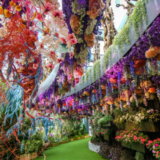 Gardens by the Bay - Floral Fantasy 1