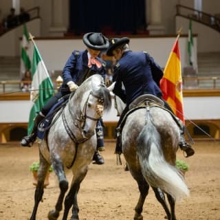 Real escuela andaluza del arte ecuestre: Visita completa 3
