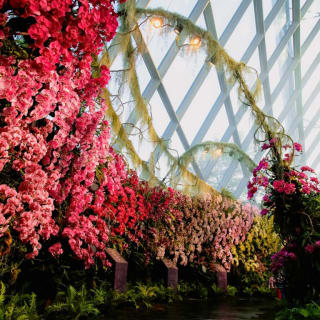 Gardens by the Bay - Floral Fantasy 2