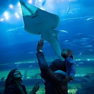 Dubai Aquarium with Glass bottom boat tour 3