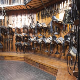 Real escuela andaluza del arte ecuestre: Visita completa 4
