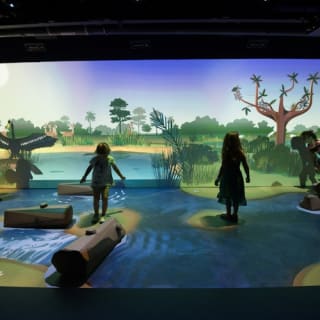 Phillip & Patricia Frost Museum of Science, Acquario & Planetario: biglietto d'ingresso 61