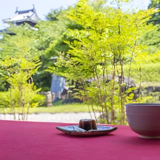 1-Day Tour from Nagoya: Wagashi Workshop & Matcha Tea Field Tour 9