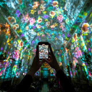 Eonarium Genesis: Um espetáculo imersivo de luzes na Basílica Imaculada Conceição 6