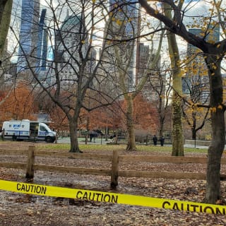 Central Park: Escándalo y vicio 2