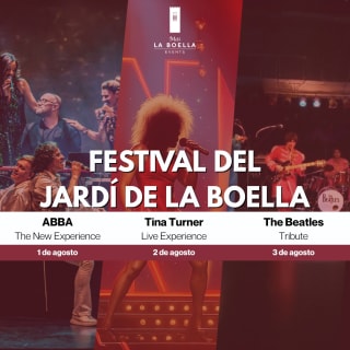 Conciertos Tributo - ABBA, Tina Turner y The Beatles 1