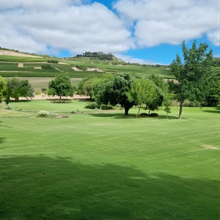 Wine Tour: Paarl, Franschhoek & Stellenbosch incl 3 wineries 11