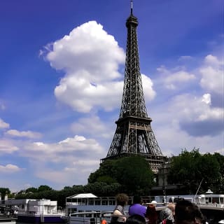 Visite de Paris : Déjeuner à la Tour Eiffel, croisière en bateau et visite du Louvre 10