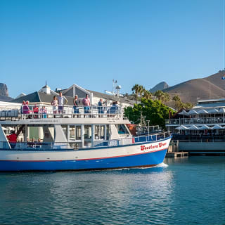 Cruise and Dine Dinner / Cape Town: Sunset Champagne Cruise and 3-Course Dinner 6