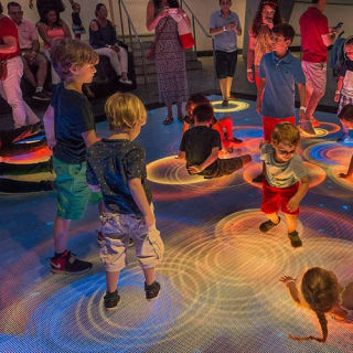 Phillip & Patricia Frost Museum of Science, Acquario & Planetario: biglietto d'ingresso 71