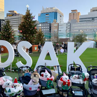 Osaka Highlights: 4-stündige geführte Spaziergangtour mit einem einheimischen Experten 7