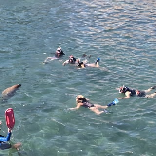 San Juan Snorkel with Turtles and Manatee's; Free Video and Rum! 5