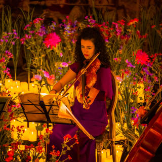 Candlelight Spring: O Melhor de Zeca Afonso 4